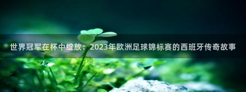 免费看足球直播比赛：世界冠军在杯中绽放：2023年欧洲足球锦标赛的西班牙传奇故事