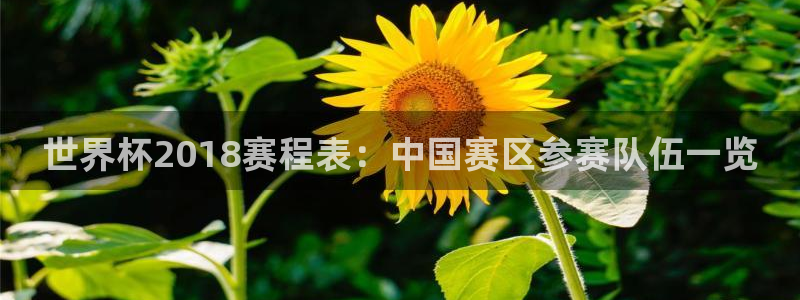 世界杯欧洲区预选赛：世界杯2018赛程表：中国赛区参赛队伍一览