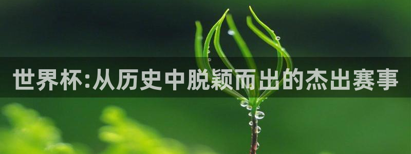 2026世预赛赛程表：世界杯:从历史中脱颖而出的杰出赛事