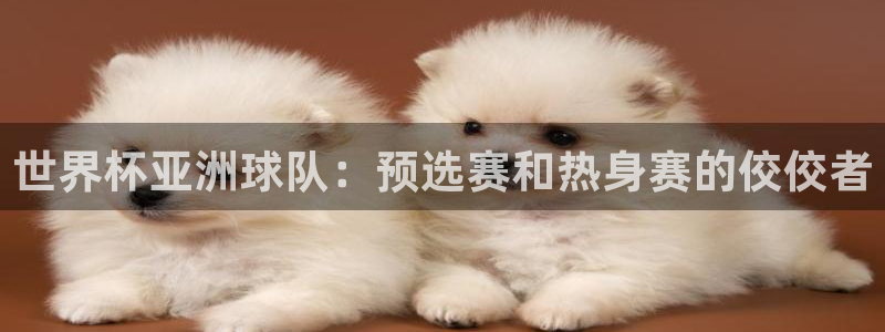 世界杯球赛：世界杯亚洲球队：预选赛和热身赛的佼佼者