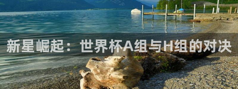 2026世界杯欧洲预选赛赛程表:新星崛起:世界杯A组与H组的对决