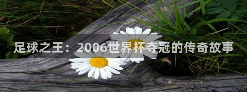 2026世界杯直播免费观看：足球之王：2006世界杯夺冠的传奇故事