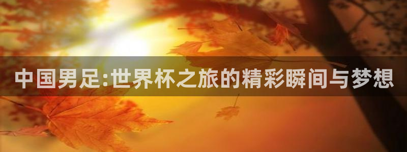 2026年足球世界杯赛程时间表：中国男足:世界杯之旅的精彩瞬间与梦想