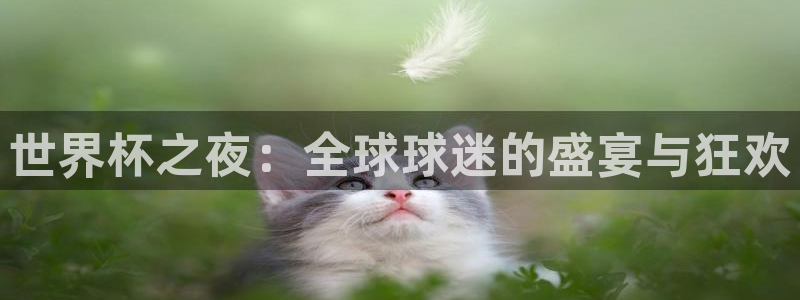 世界杯欧洲区世预赛赛程：世界杯之夜：全球球迷的盛宴与狂欢