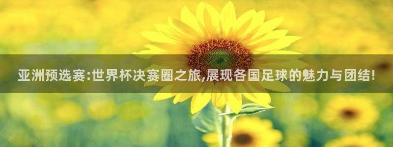 2026年足球世界杯赛程时间表：亚洲预选赛:世界杯决赛圈之旅,展现各国足球的魅力与团结!