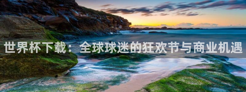 世界杯官网：世界杯下载：全球球迷的狂欢节与商业机遇