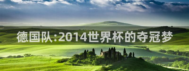 欧洲区世界杯预选赛：德国队:2014世界杯的夺冠梦
