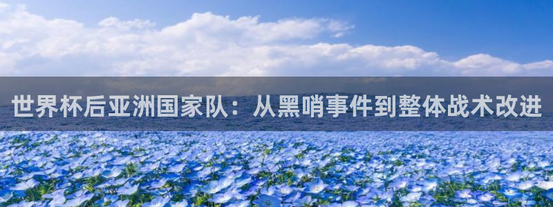 世界杯预选赛亚洲区积分榜：世界杯后亚洲国家队：从黑哨事件到整体战术改进