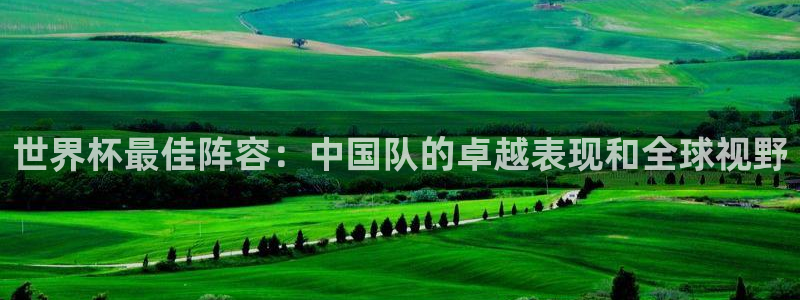 欧洲世预赛赛程表：世界杯最佳阵容：中国队的卓越表现和全球视野