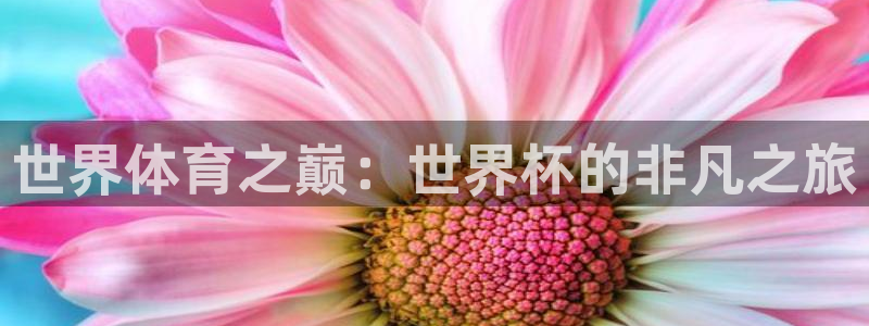 足球世界杯预选赛：世界体育之巅：世界杯的非凡之旅