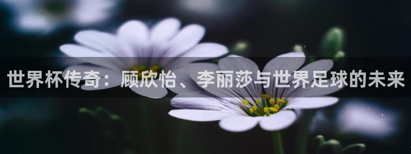 2026世界杯倒计时：世界杯传奇：顾欣怡、李丽莎与世界足球的未来