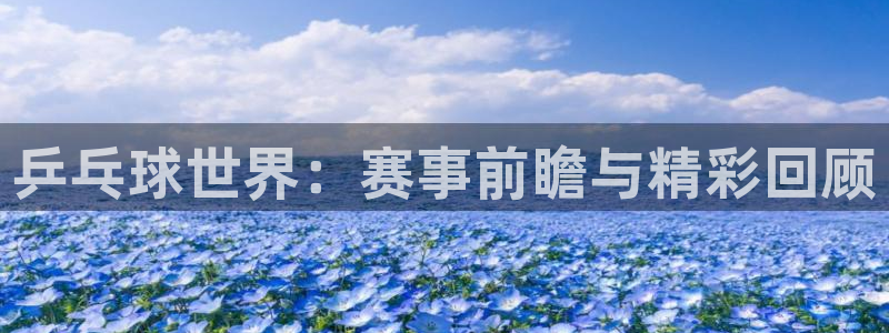 2026世界杯亚洲预选赛：乒乓球世界：赛事前瞻与精彩回顾