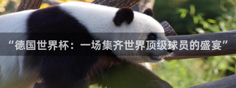 欧洲世界杯预选赛：“德国世界杯：一场集齐世界顶级球员的盛宴”
